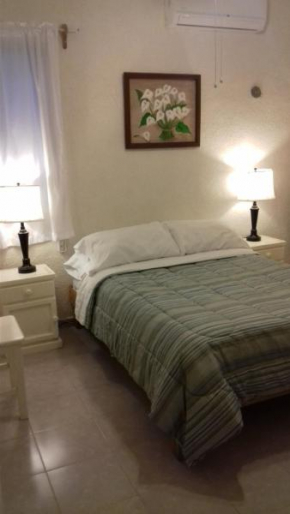 Casa Palmera
